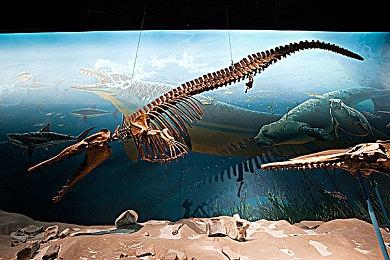 《斯普拉遁3》新更新6月14日上线 修复多个问题