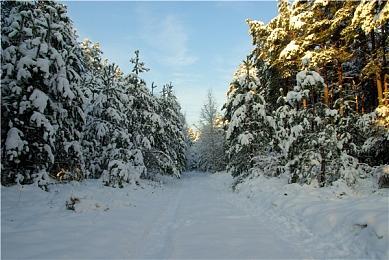 《天命奇御：归途》武学与重生的意义