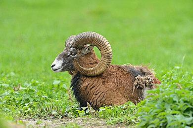 合作平台游戏《Mother Machine》即将开启公测