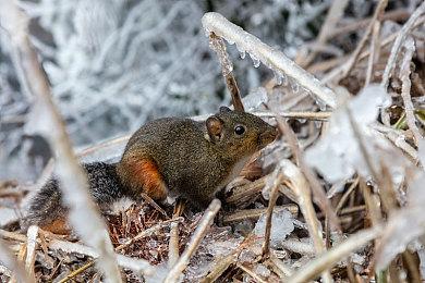 《木卫四协议》故事DLC登陆Steam＆ Xbox本作的最后DLC